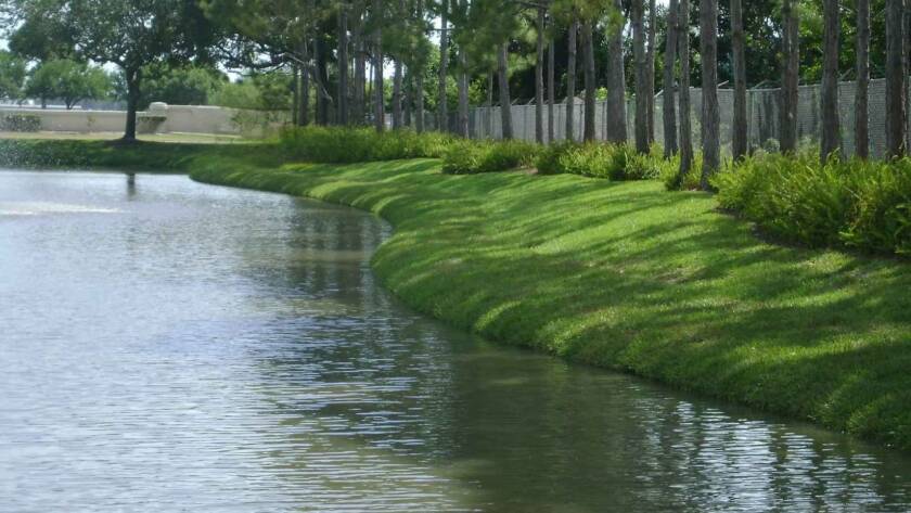 Shoreline Restoration for Lakes, Ponds & Community Spaces