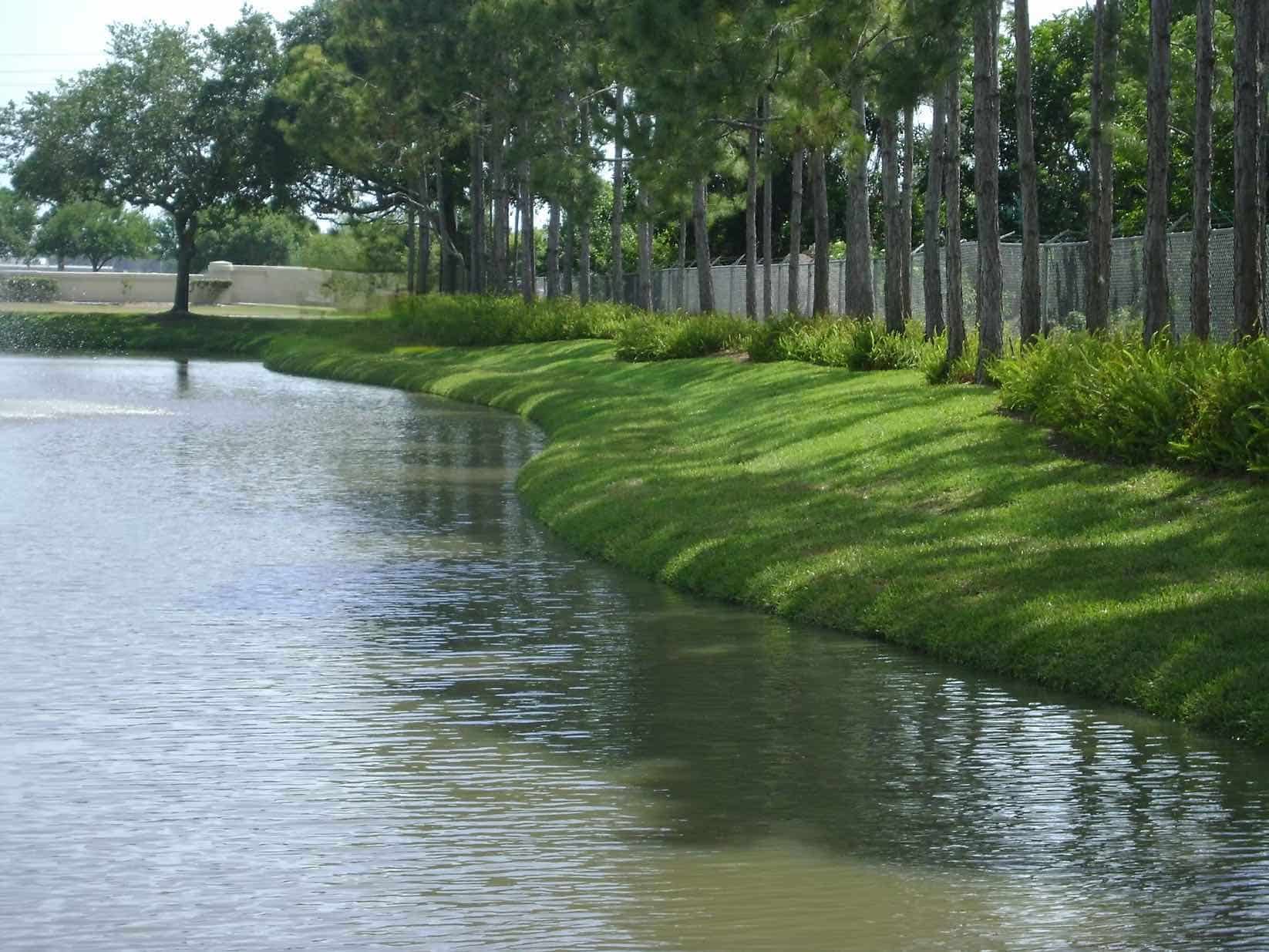 Shoreline Restoration for Lakes, Ponds & Community Spaces